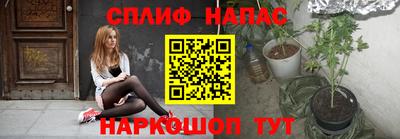 mdpv Славгород