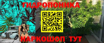mdpv Славгород