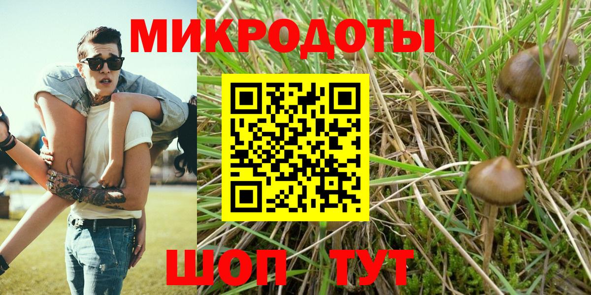 Галлюциногенные грибы мицелий  Вход с VPN  Галлюциногенные грибы Cubensis  Новокубанск 